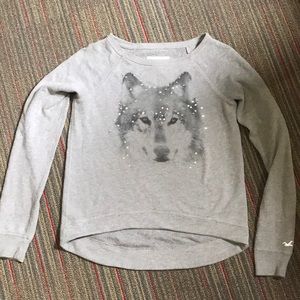 Hollister Wolf sweatshirt!